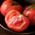 海阳产地好货 普罗旺斯西红柿 沙瓤番茄  新鲜水果即食蔬菜 精选装5斤中大果