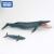 喏雅珘TOMY多美卡安利亚仿真动物模型浣熊火烈鸟大猩猩鲨鱼蓝鲸海洋玩具 安利亚王国-大猩猩（斯路巴）