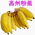 广东高州原生态粉蕉高州大香蕉芭蕉小时候的味道新鲜南蕉丑蕉 3斤 （高州粉蕉）