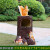 玻璃钢卡通动物雕塑幼儿园户外分类果皮箱景区装饰垃圾桶摆件大号 深棕色 松鼠树桩垃圾桶