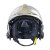梅思安（MSA）F1XF消防头盔10166659 灭火抢险救援头盔 外置电筒支架 镍色大号 定制 拍前联系客服
