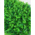 绿植墙仿真植物草坪塑料人造假草皮客厅阳台绿色背景花墙门头装饰 布花尤加利 十个装 0cm