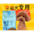 CLCEY2024新款狗粮5斤泰迪专用粮成犬幼犬通用型狗粮10 6个月以上 10斤装