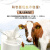 蒙牛 中老年高钙营养奶粉 400g（便携条装）成人奶粉