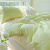 浪莎（LangSha）简约风纯色床上用品套件四件套100全棉被套罩床单款1.8米夏季床品 果绿+芝士 1.2m床单款三件套(被套150*200cm