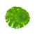 SKIDS仿真荷叶水池装饰小荷花莲叶塑料绿叶子莲花共佛睡莲塑料绿植客厅 塑料荷叶17厘米