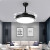 VVS隐形风扇吊灯家用一体吊灯客厅餐厅卧室北欧电扇 黑色直径107cm遥控款(接火线+零
