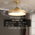 月影风扇灯2023年新款隐形吊扇灯餐厅客厅家用一体简约电风扇吊灯 标准款(42寸/明亮36w/三色调光)