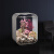 biOrb英国艺术水景透明生态鱼缸小型迷你办公室桌面客厅创意懒人金鱼缸 白缸MCR遥控灯+造景6