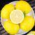 绿相忆四川安岳黄柠檬 现摘新鲜水果酸甜爽口时令生鲜泡茶切片 5斤中大果花皮(单果80-180g)