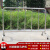 仁聚益1.5米不锈钢铁马护栏可移动围栏市政交通超市广场地铁学校隔离栏 201材质-长2.0*高1.2米-外32内19