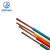 起帆QIFAN 电线电缆ZB-BVR-450V/750V-10平方单芯多股软线100米/卷 黄色