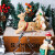仙妮贝儿（Shaniabelle） 圣诞节翻糖模具卡通姜饼人圣诞袜自制糖霜饼干蛋糕装饰磨具 圣诞快乐英文款