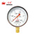 红旗（HONGQi）YTN-100径向抗震压力表表充油压力表0-2.5mpa耐震防震油压表气压表M20*1.5	