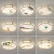 瀚帝斯新中式吸顶灯珐琅彩led客厅卧室书房现代简约创意中国风圆形 九鱼聚财-30CM