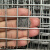 何老师304不锈钢电焊网片防鼠网钢丝围栏窗户防护焊接网筛网防盗 丝0.6mm/孔1.2cm/1X1米