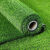 仿真草坪地毯人造人工假草皮绿色塑料装饰工程围挡铺设 2.5厘米春草加密 2米宽 3米长