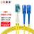 良浦 电信级单模万兆光纤跳线 单模双芯Φ2.0（LC-SC，9/125）2米 光纤线尾纤跳纤 NG-2LC-SC-S2