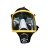 海安特(HAT)DSH-B电动送风长管呼吸器 双人（20米长管+面罩+腰带）*2+主机  断电报警
