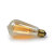 动真格（DongZhenGe）钨丝灯泡可调光led透明E27大螺口球泡创意 复古40W暖黄装饰AA 调光钨丝款灯笼 40W  暖黄