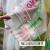 BananaRoom日本儿童雨衣男童女童小孩学生幼儿园宝宝雨披防水书包位玩水上学 透明无畏恐龙雨衣 XL