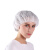迈恻亦一次性帽子头套厨师餐饮防尘厨房女卫生透气工作网帽防掉头发 白色条形帽 200只