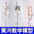45 85 170cm人体骨骼模型骨架人体模型小白骷髅教学脊椎身 85厘米【挂-神经+间椎盘+韧带 +肌肉起止点】