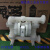 美国气动隔膜泵P200PKPPPTUNTFKTV 进口隔膜泵 P800/PKPPP/TNU/TF/PTV
