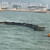 大工象  橡胶围油栏 WGJ900 1米 加厚含全套配件 固体浮子式围油栏水域海面防护围挡