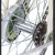 凤凰（PHOENIX） 梦幻自行车男士女式成人青少年学生通勤城市复古轻便单车 芭蕾黑+后靠背坐垫+群网 24寸充气胎：适合身高145-165cm