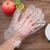 迈恻亦一次性手套薄膜卫生男女餐饮透明塑料手膜手套批发 普通款100只