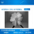 Global shutter全局黑白130W MIPI摄像头 树莓派 Jetson SmartGS CS-MIPI-SC132