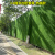 工地围挡草坪地毯人工仿真绿色人造塑料假草皮网建筑施工绿植围墙定做 3厘米加密加厚春草-款 4米宽x25米长【100平