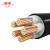 津成电缆 ZRC-YJV-0.6/1KV-5*10阻燃电力电缆 1米