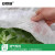 安赛瑞 植物包装布 无纺布农用园艺蔬菜保湿覆盖布防寒布 宽约3.05m长约9.14m 薄款 531247
