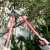 赛拓（SANTO）园艺剪刀粗枝剪 树枝剪果树剪 园林剪刀园林工具 1214