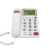 电话机 大字键超大铃声 办公固定电话免电池时尚创意座机 白色 877