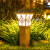 动真格（DongZhenGe）太阳能户外仿古庭院草坪柱头灯花园布置装饰围墙院子照明景观灯柱 高配款-吉祥福花黑色-高60cm