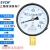上海仪川仪表 径向负压真空压力表Y100 水压油压气压表 0-1.6MPa 压力真空表Y100 -0.1-0.9MPa
