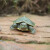 萌龟饲家宠物龟 巴西龟活物 宠物活体乌龟 半水龟小乌龟苗 观赏龟活体 11-13厘米黄色宠物龟 2只情侣龟