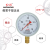 红旗牌仪表Y-100径向普通压力表气压表水压表真空负压表精度1.6级 0~0.06MPa