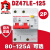 DZ47LE-125漏电断路器2P单相两极大功率保护开关D型80A 2P 80A