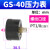 压力表GS GF GU40 50 60高精密过滤器用嵌入式气压表定制 GS-40 F-GS4010M 10公斤