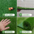 桂满枝人造草坪塑料仿真垫子假绿植幼儿园人草皮户外装饰绿色地毯围 10翠绿色薄背胶(0平方)