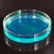 海斯迪克 HKC-207 加厚玻璃培养皿 高硼硅细胞培养皿平皿 150mm 