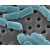 47mmPCTE纳米模板塑料微颗粒聚碳酸酯滤膜0.01-30um孔径 47mm 0.2um 1片常用过滤 探索计