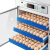 琛选工品 孵化器智能大型中型养殖孵化机家禽孵蛋器剪板D137 单位：个 136枚多功能双电版 