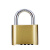 雨素 挂锁 小锁 黄铜底部密码锁 防盗锁 门锁柜子锁 52mm