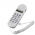 QIYO琪宇A666来电显示便携式查线机查话机 电信联通铁通抽拉免提 灰白色C019带来电显示带线盒
