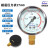 杭州富阳华科压力表储气罐耐震径向轴向耐震充油表YN60Z YN60Z轴向耐震压力表0-1.0M